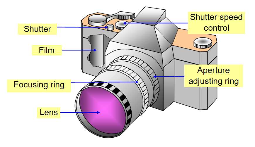 slr camera diagram with parts and functions