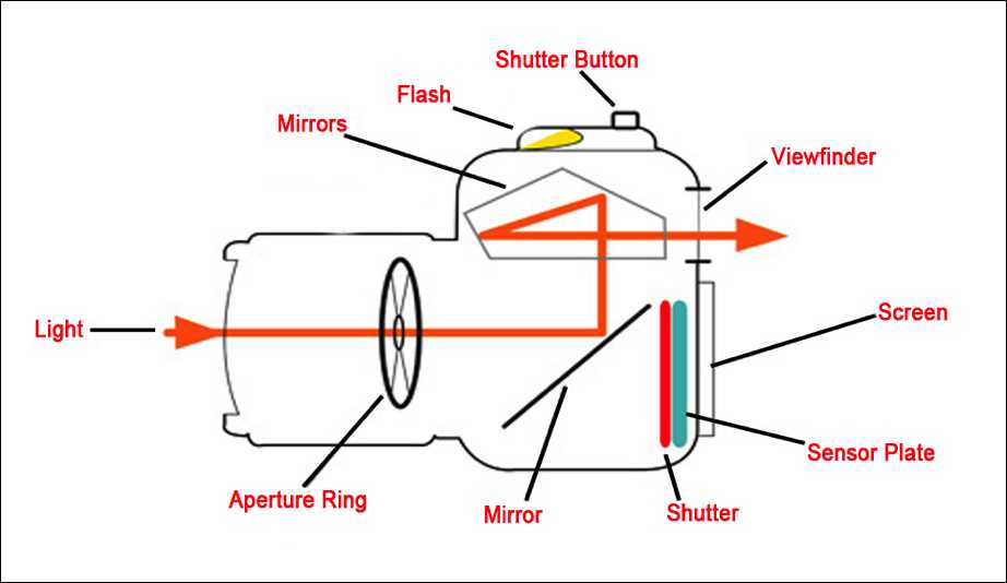 slr camera diagram with parts and functions