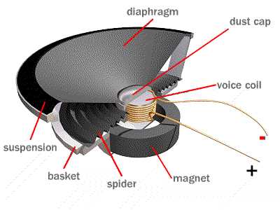 speaker parts diagram