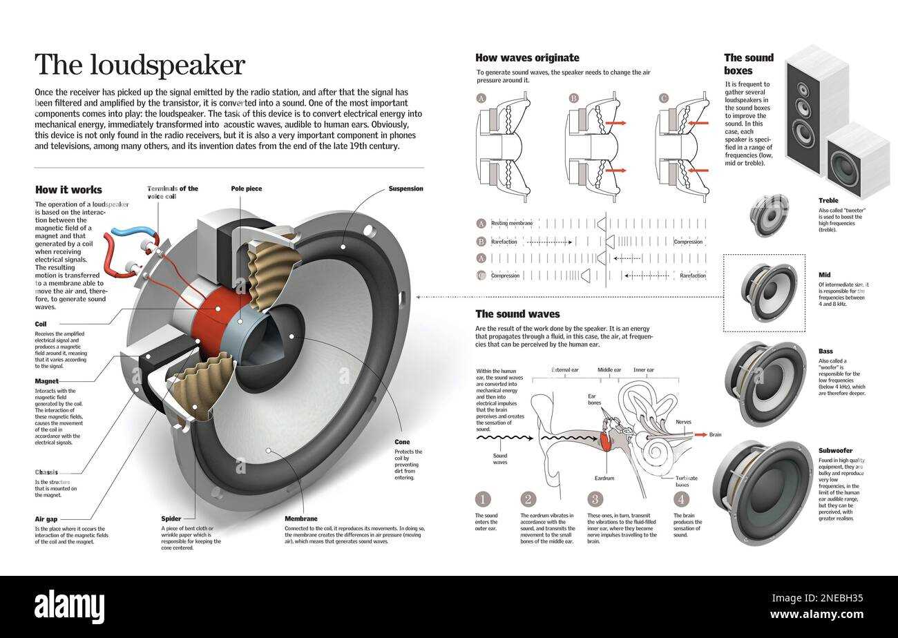 speaker parts diagram