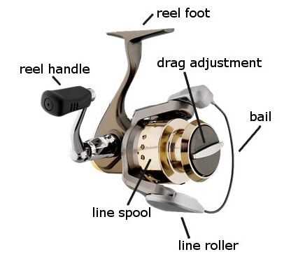 spinning reel fishing reel parts diagram