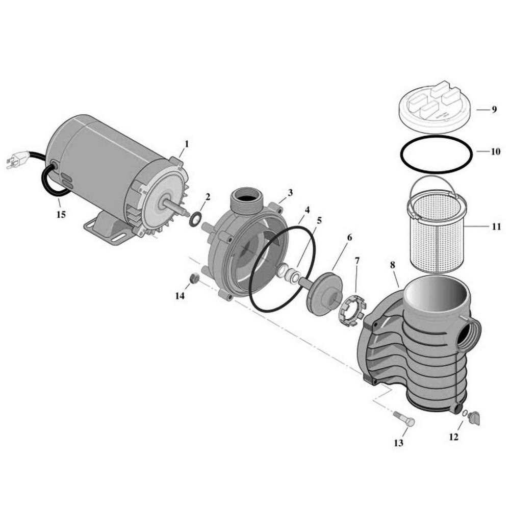 sta rite pool pump parts diagram