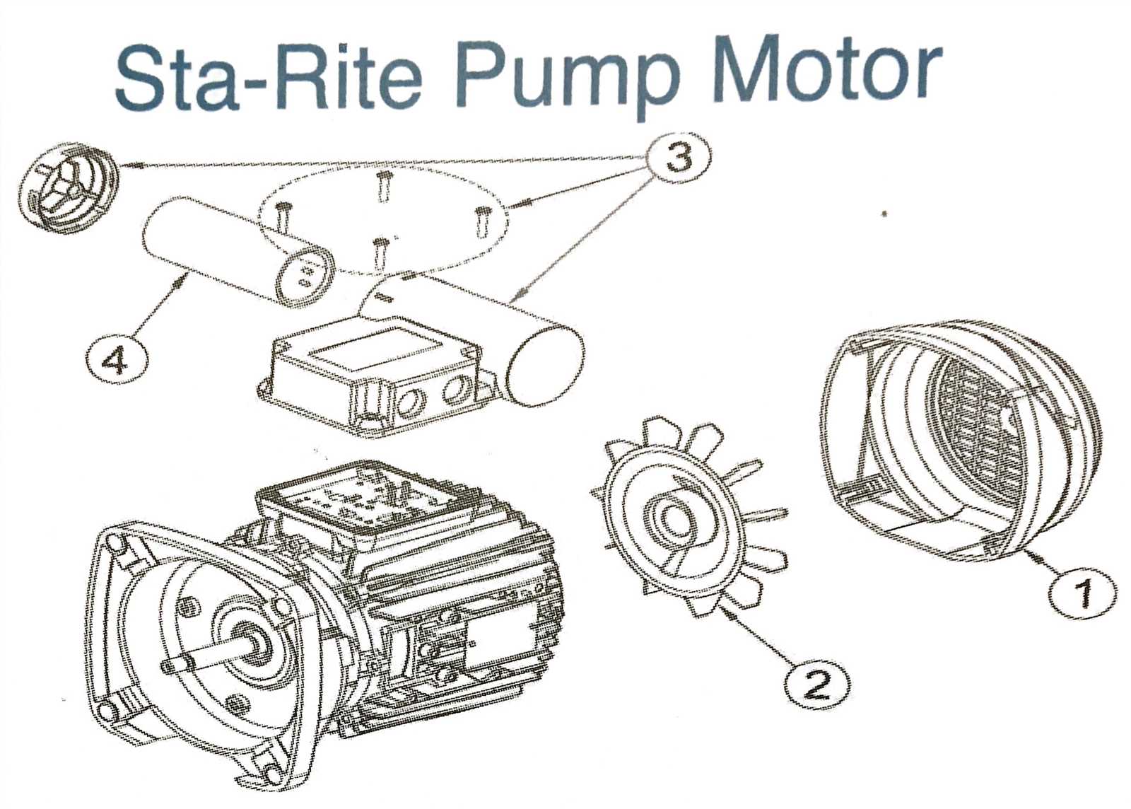 sta rite pool pump parts diagram