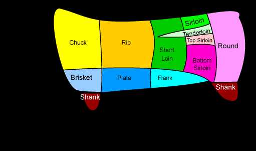 steak parts of cow diagram