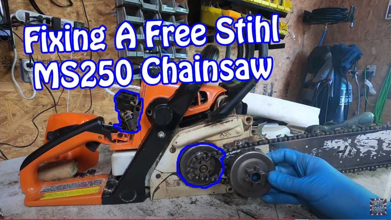 stihl 250 chainsaw parts diagram