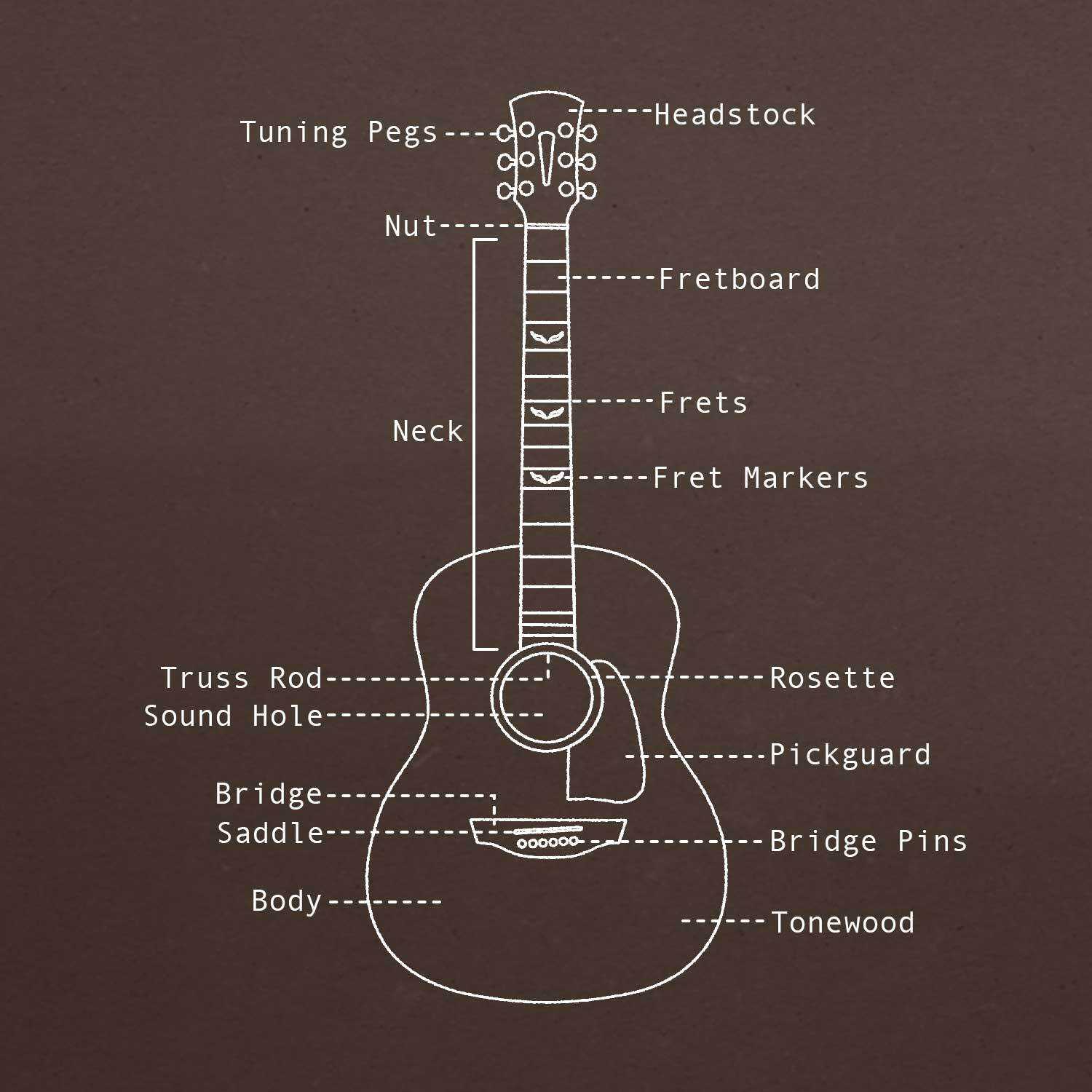 stratocaster parts diagram