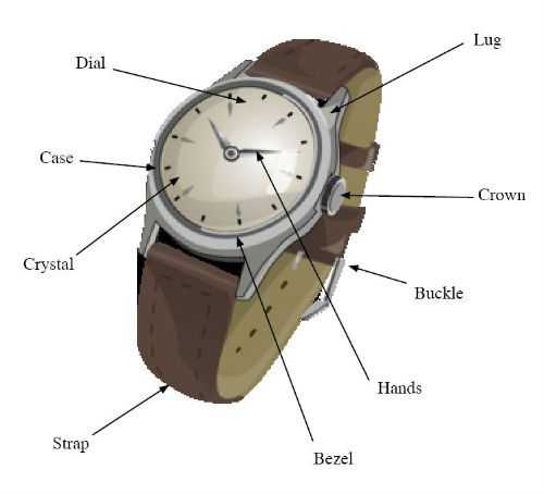 pocket watch case parts diagram