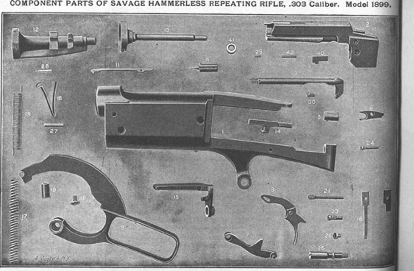 savage model 99 parts diagram