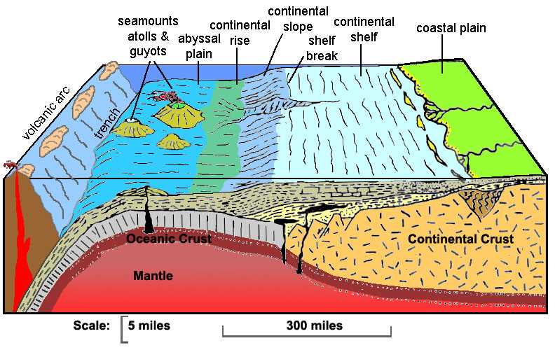 parts of the ocean floor diagram