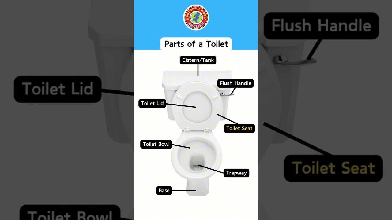 parts of a toilet bowl diagram