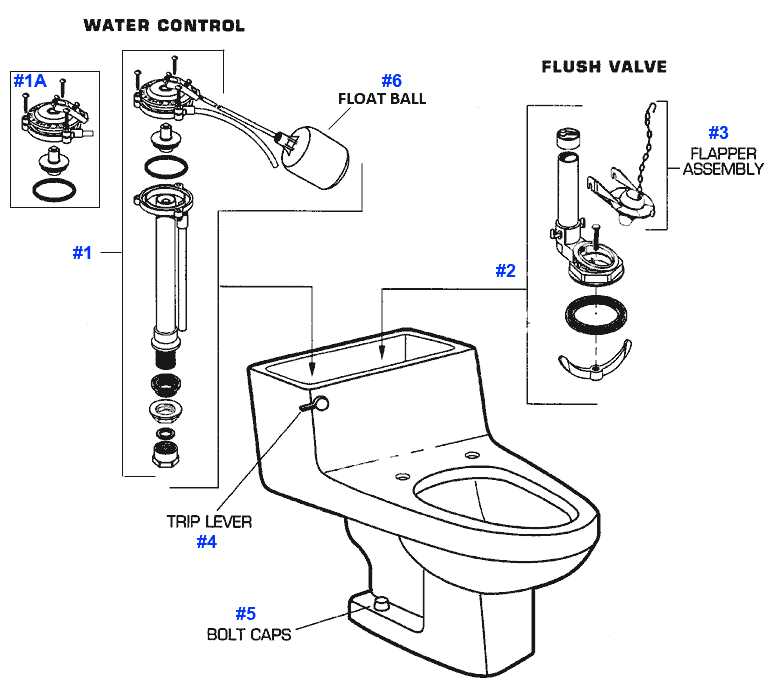 toilet drain parts diagram