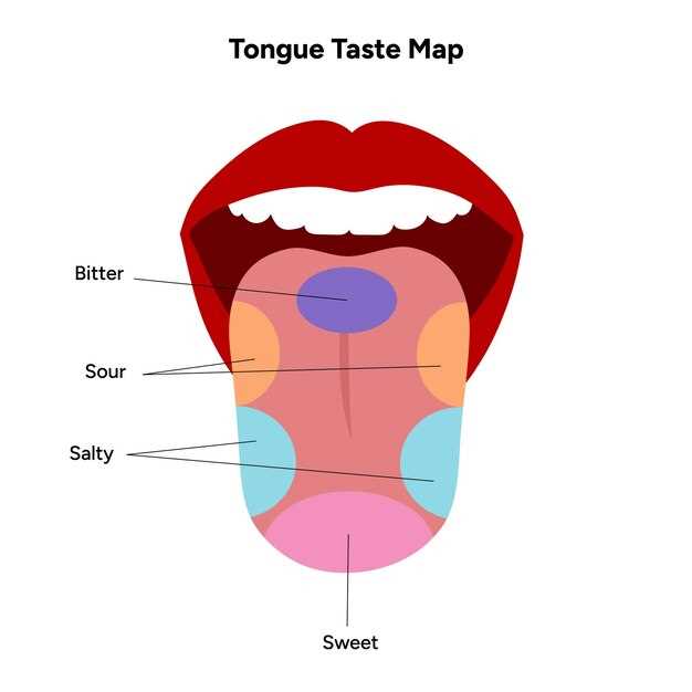 tongue taste parts diagram