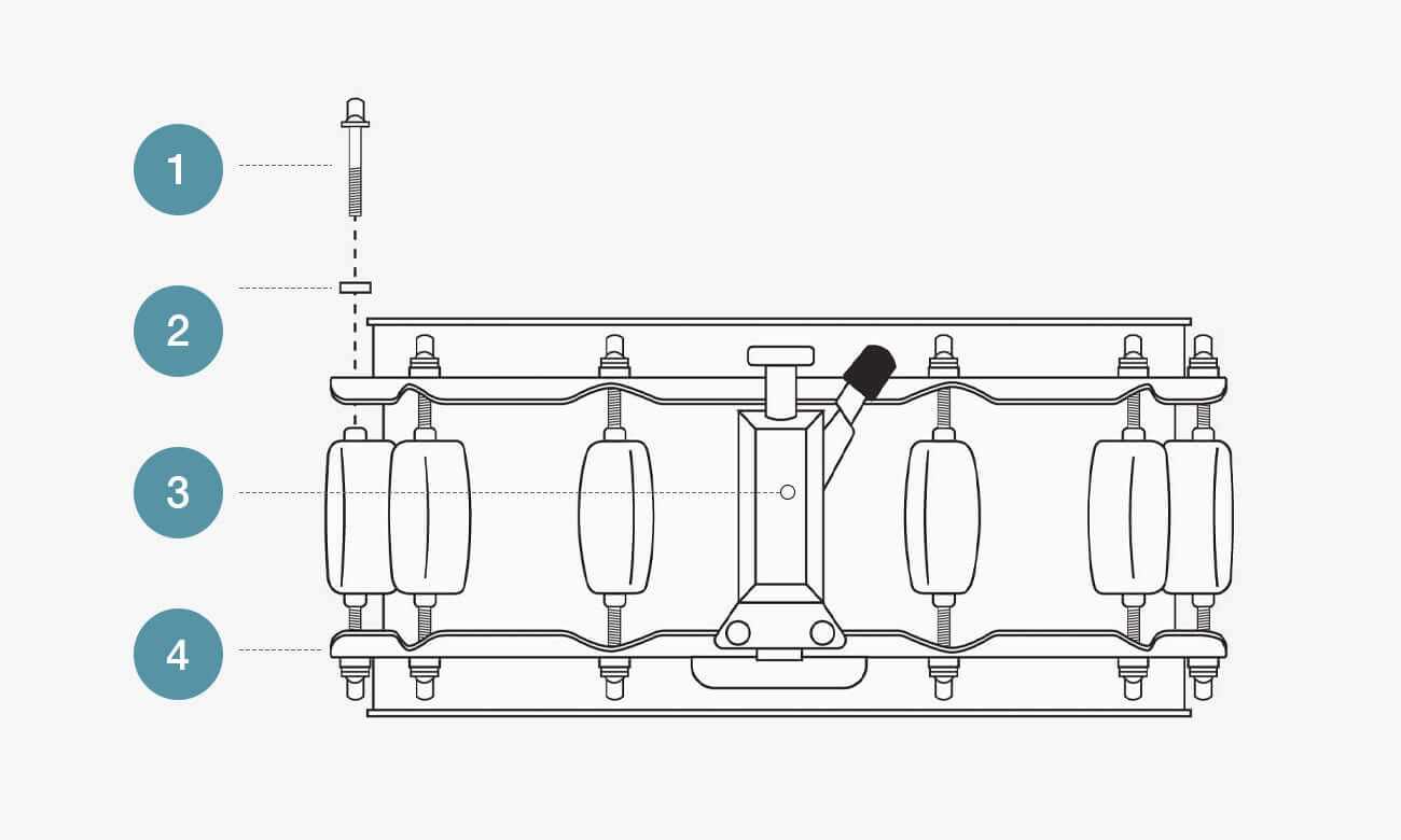 snare drum parts diagram