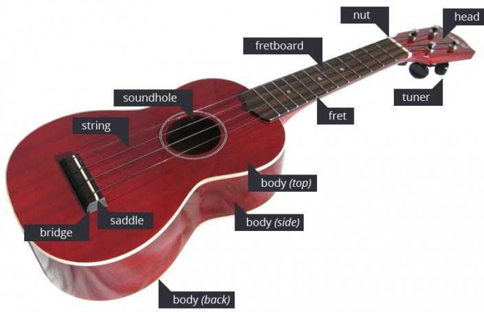 ukulele diagram of parts