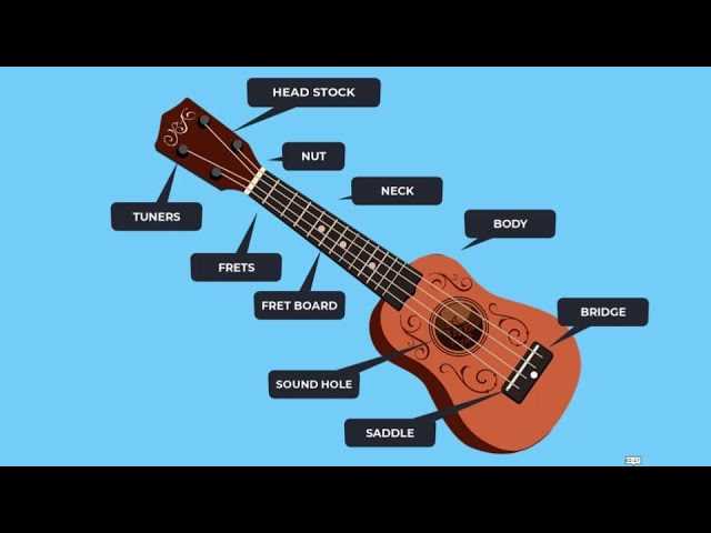 ukulele diagram of parts