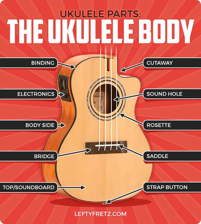 ukulele diagram of parts