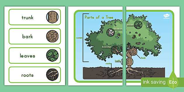 parts of speech tree diagram