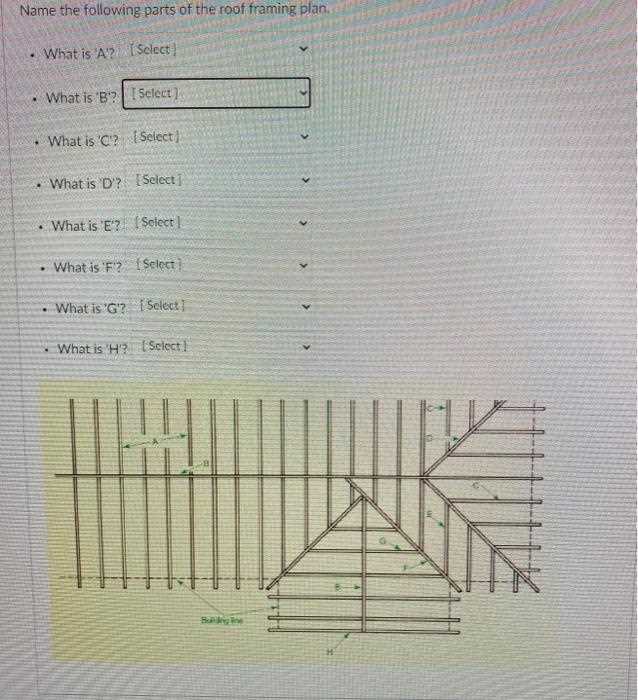 roof framing parts diagram