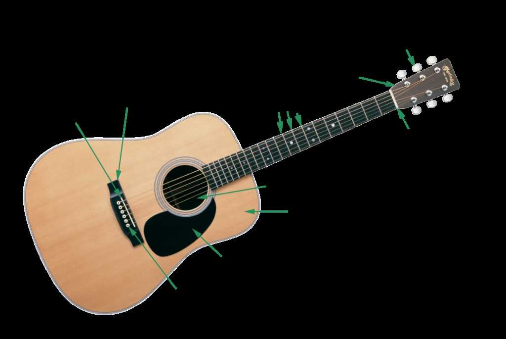 parts of the acoustic guitar diagram