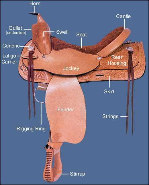 western saddle parts diagram