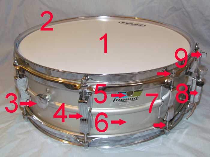 snare drum parts diagram