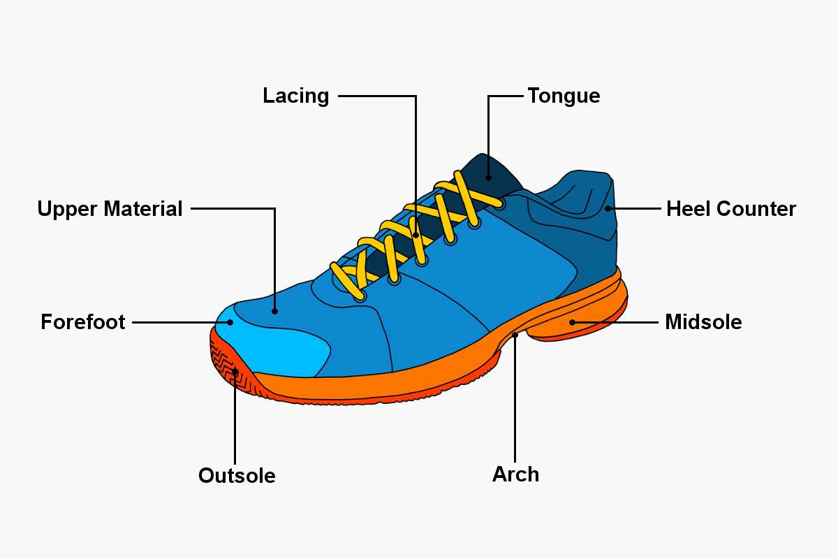 parts of a sneaker diagram