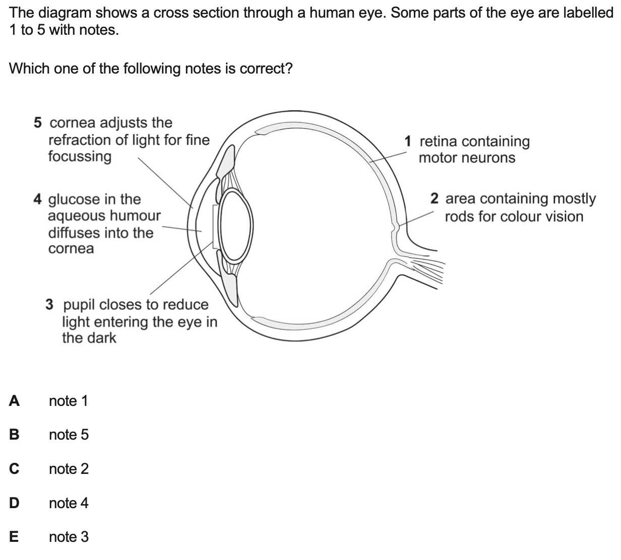 parts of human eye diagram