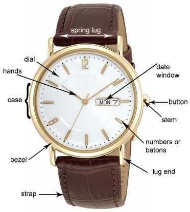 wrist watch parts diagram