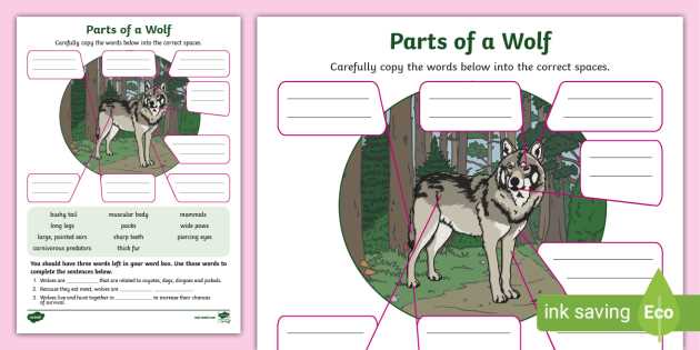 wolf parts diagram