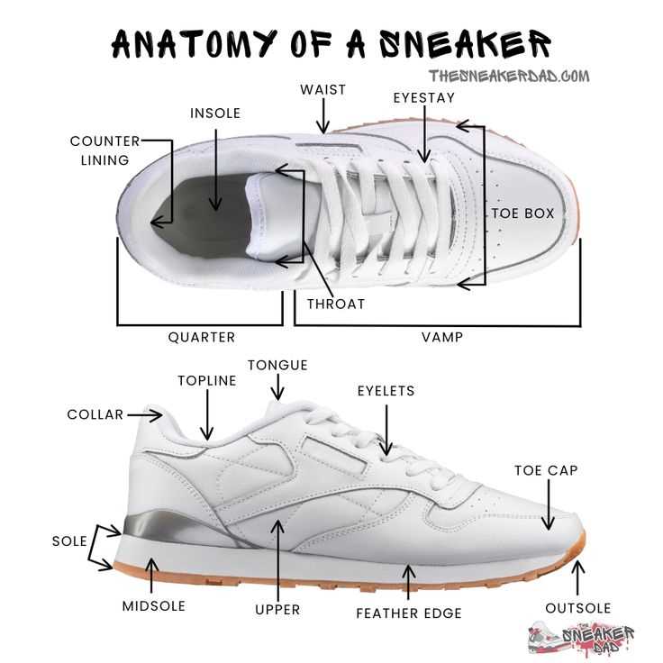 parts of shoes diagram