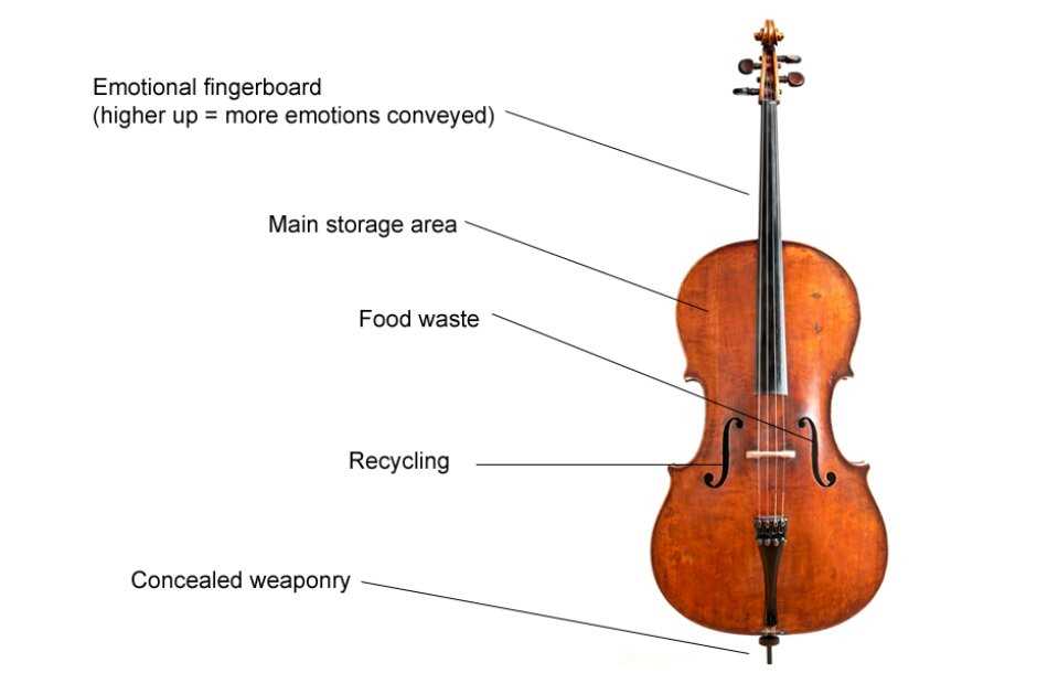 upright bass parts diagram