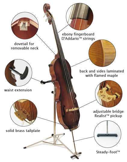 upright bass parts diagram