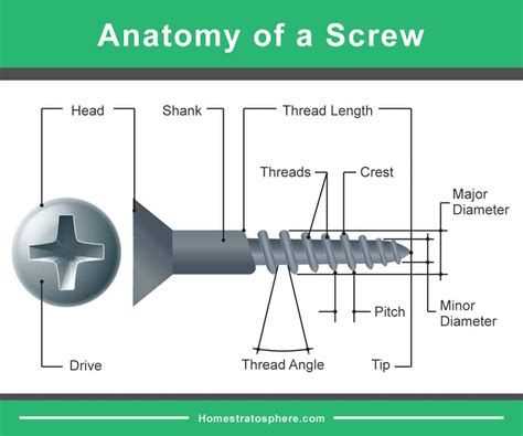 screw parts diagram