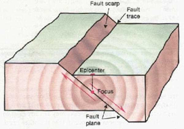 parts of an earthquake diagram