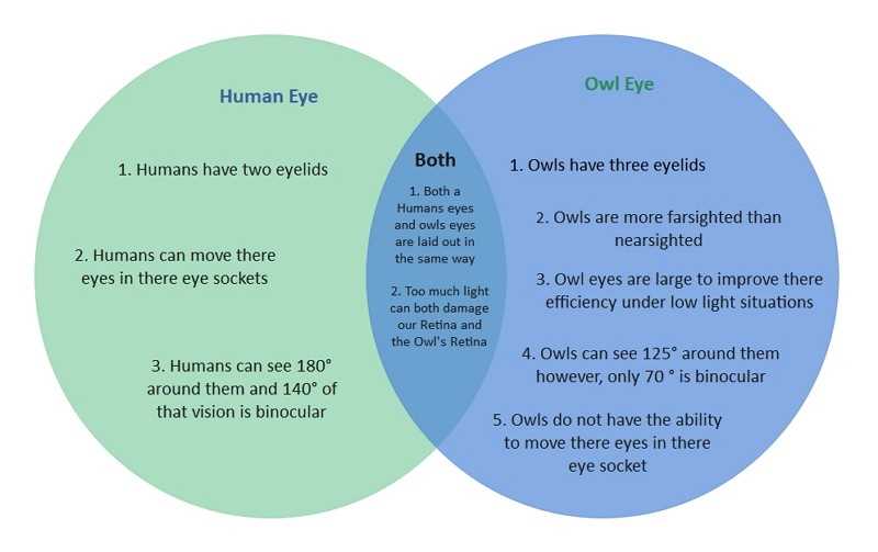 venn diagram trees and body parts