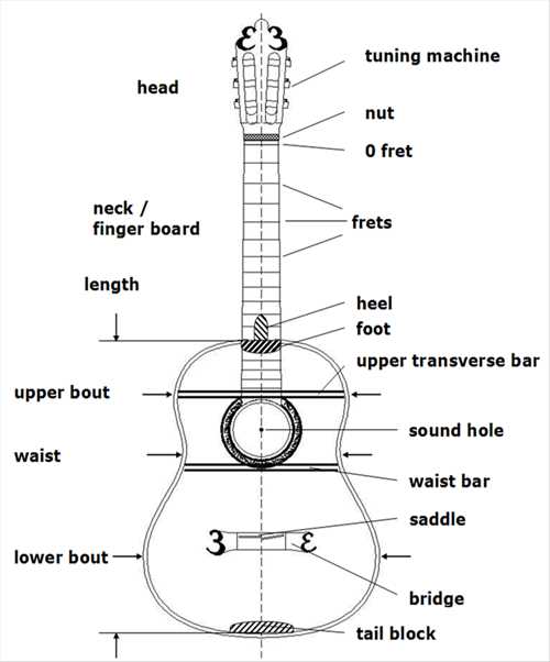 parts of the acoustic guitar diagram