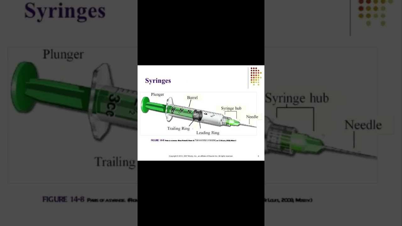 parts of a syringe diagram