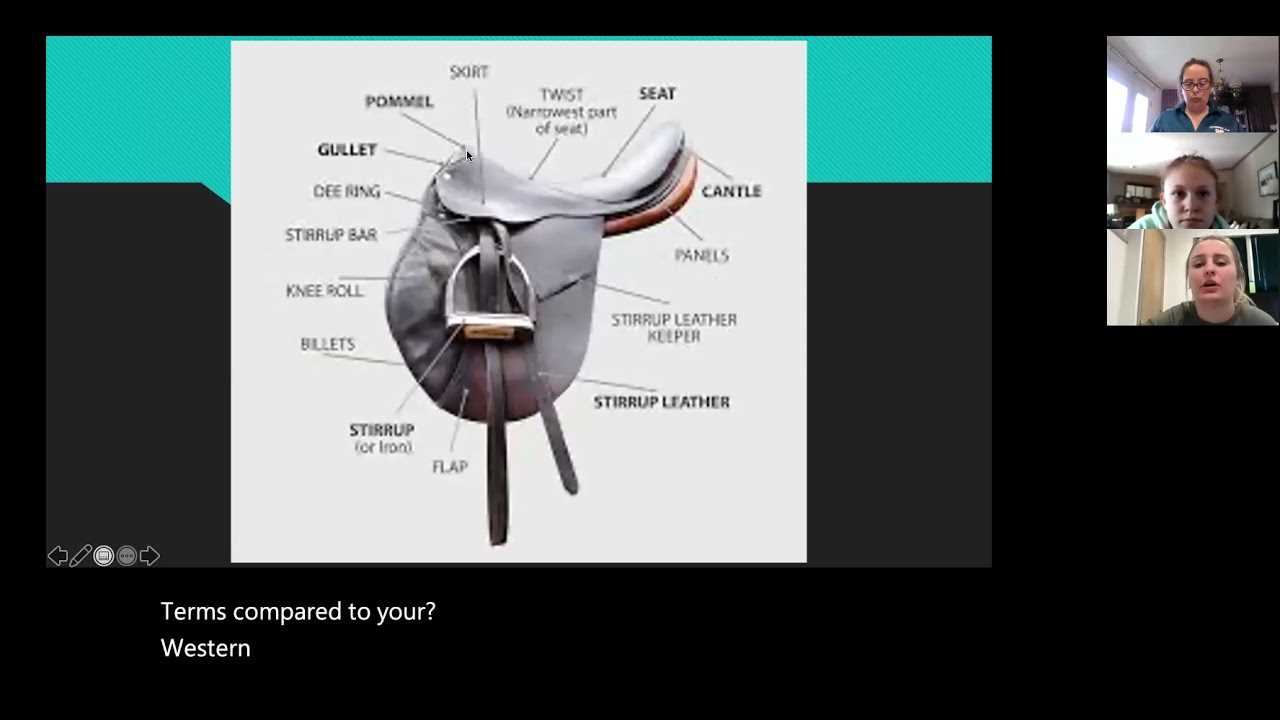 saddle parts diagram