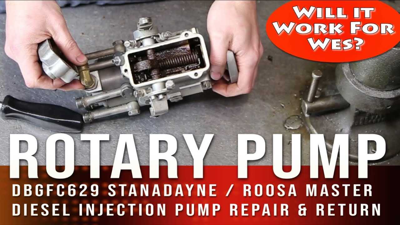 roosa master injection pump parts diagram