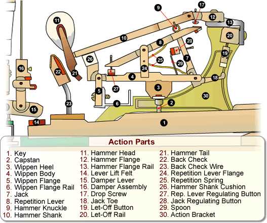 upright piano action parts diagram