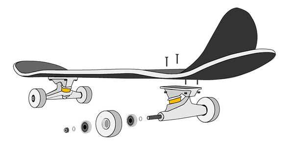 skateboard parts diagram