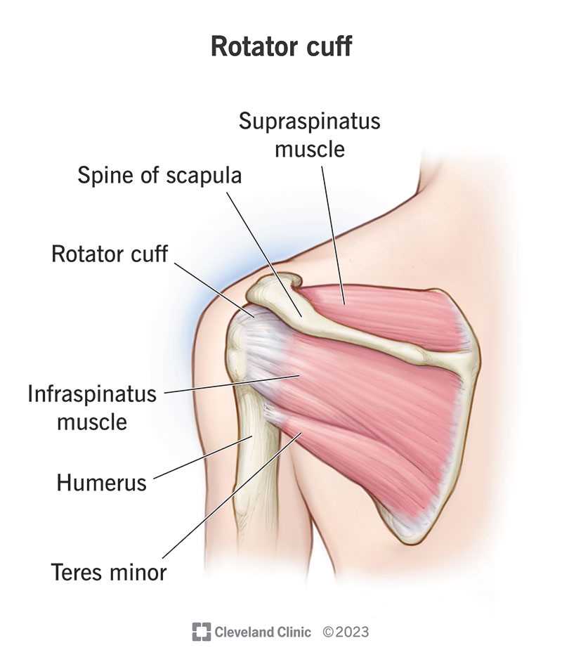 work sharp parts diagram