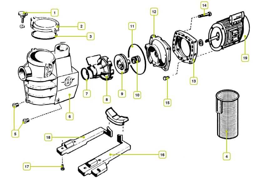 pool motor parts diagram