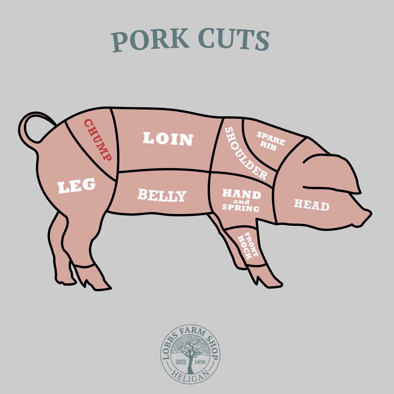 pork meat parts diagram