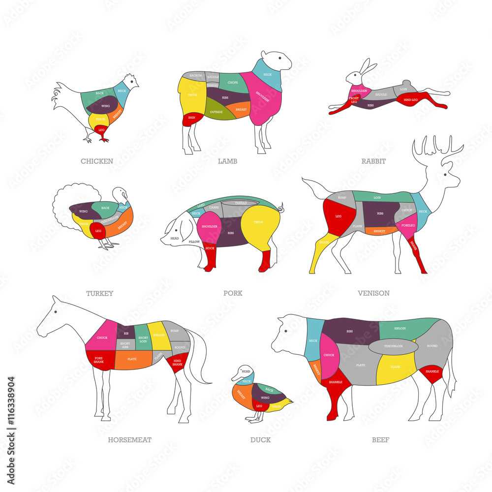 pork meat parts diagram