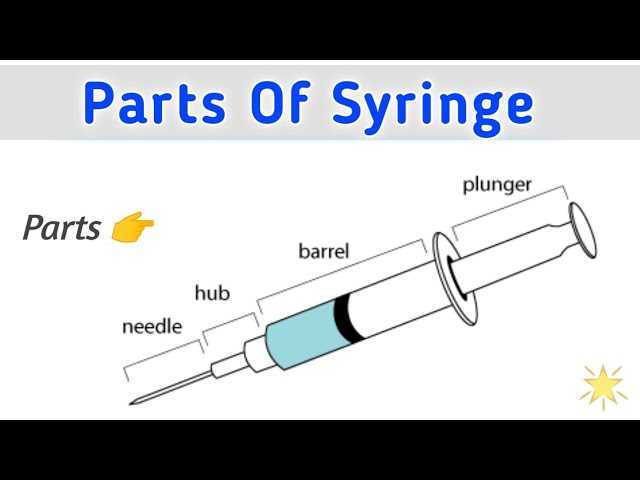 syringe diagram with parts