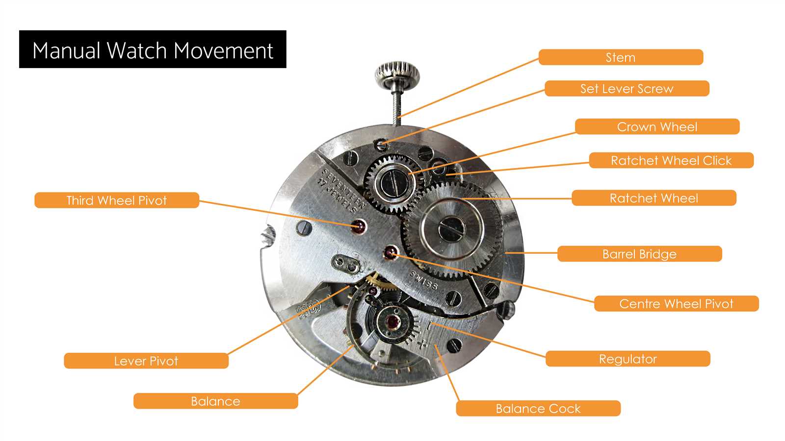 watch strap parts diagram