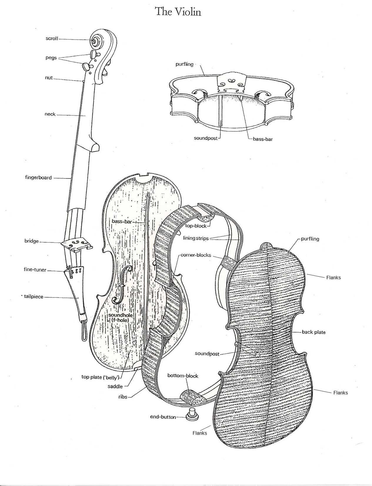 violin parts diagram