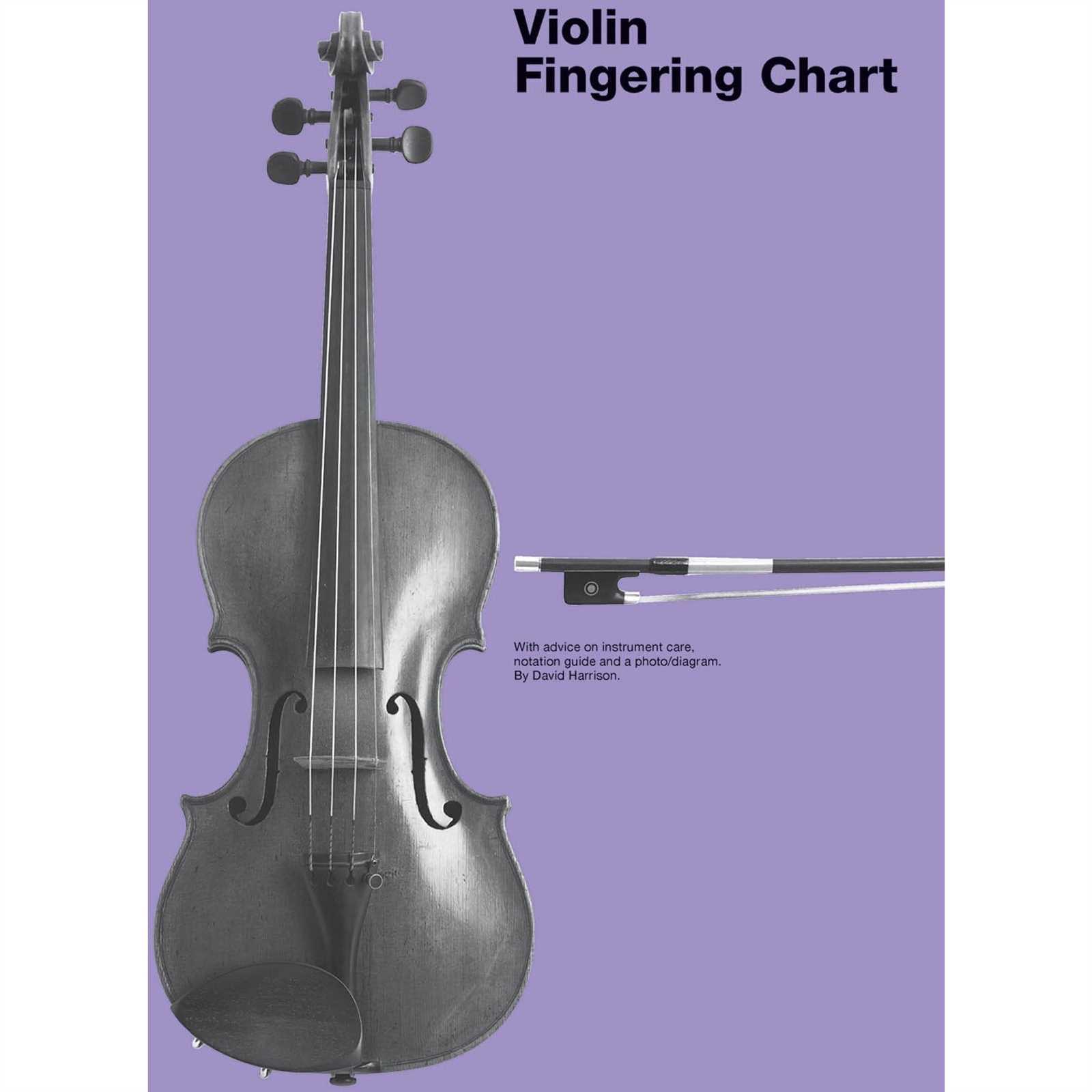 violin parts diagram