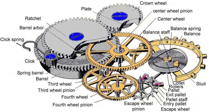 watch diagram part by part